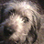 Profile Picture of Nathaniel Williamson (@BigDilema) on Flickr