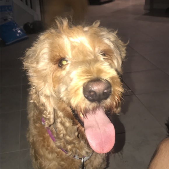 Profile Picture of Jacob Mrozek (@jacobmrozek) on Poshmark