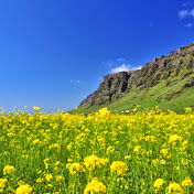 Profile Picture of Devin Marsh (@VPT2013) on Youtube