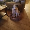 Profile Picture of Sean Grogan (@@31033539379) on Tiktok