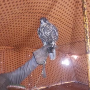 Profile Picture of Ben Beder (@ben_beder12221) on Twitter