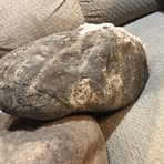 Profile Picture of Brett Seratt (@Brett-Seratt) on Facebook