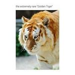 Profile Picture of Ron Palmer (@ronpalmer6546) on Instagram