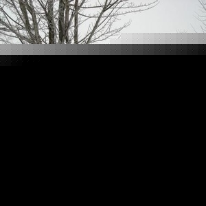 Profile Picture of Andrew Jensen (@codenamestretch1212) on Myspace