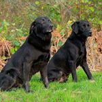 Profile Picture of Kevin Kirkham (@kirkkr) on Instagram