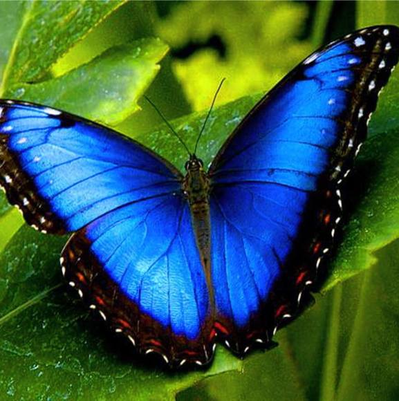 Profile Picture of Ruby Rubio (@rubyrubio277) on Poshmark