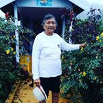 Profile Picture of Ruth Mello (@mello.ruth) on Instagram