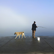 Profile Picture of Matthew Fishbein (@matthewfishbein7431) on Youtube