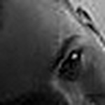 Profile Picture of Davidhagenauer (@davidhagenauer) on Flickr
