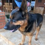 Profile Picture of John Edwards (@john.ledwith.75) on Facebook