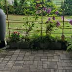 Profile Picture of Andrzej Wozniak (@Andrzej-Wozniak) on Facebook