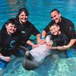 Profile Picture of Jaime Piazza Banspach (@jbanspach1193) on Instagram