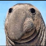 Stephen - Instagram Profile Picture of Stephen (@stephen_towell) on Instagram