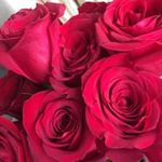 Profile Picture of pothiraj (@pothiraj.kashan090) on Instagram