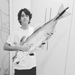 steven tarantino coppola - Instagram