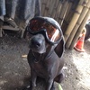 Profile Picture of Ada Jimenez (@@adajimenez3) on Tiktok