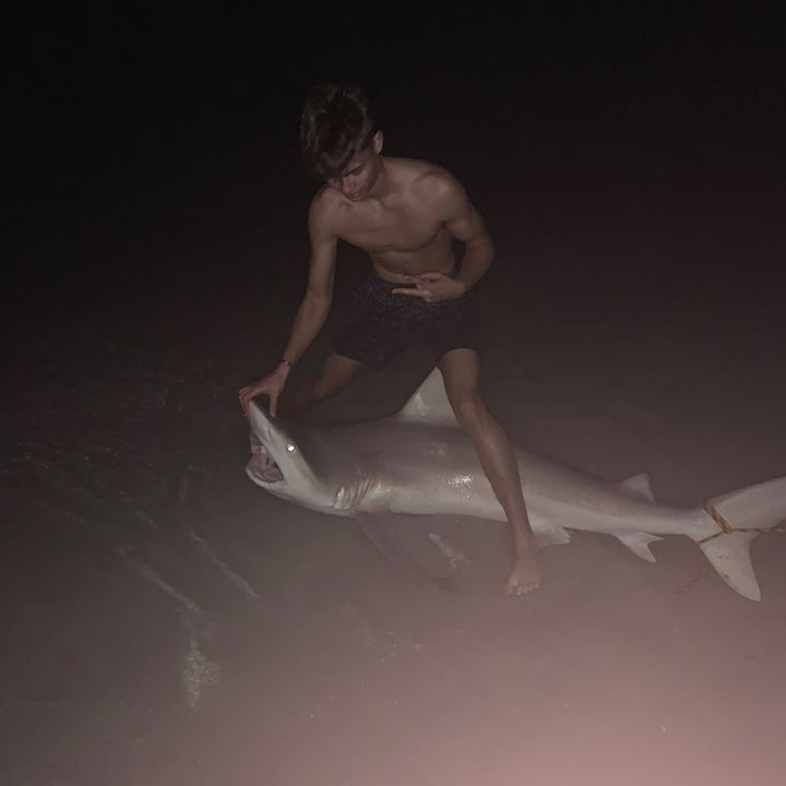 Profile Picture of Robert.dolak (@robert.do8) on Tiktok