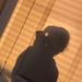Profile Picture of ✨Austin Clara✨ (@austin_clara435) on Pinterest