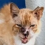 Profile Picture of Benjamin Pequeno (@benjamin.pequeno.2025) on Facebook