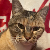 Profile Picture of Jessika Mae Long (@jessikamaelong3867) on Youtube