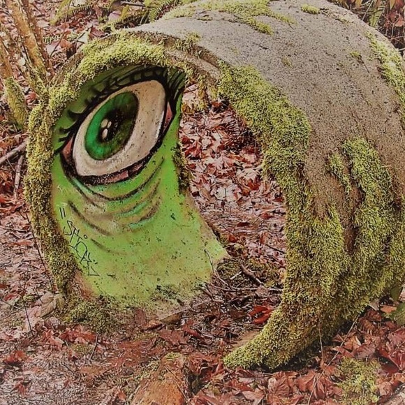 Profile Picture of Joseph Whiting (@joeynoodles75) on Poshmark