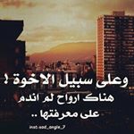 Hakeem Shaker - Instagram Profile Picture of Hakeem Shaker (@shaker_hakeem) on Instagram