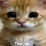 Profile Picture of RIchard 