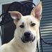 Profile Picture of Wiley Myers (@Wiley-Myers) on Facebook