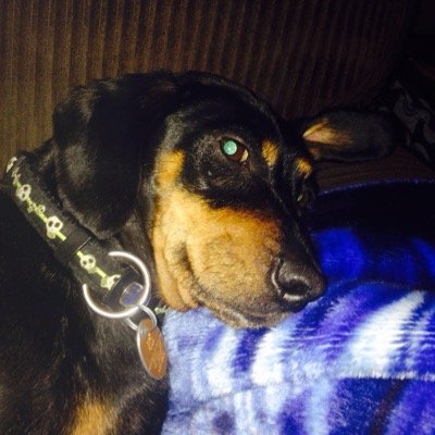 Profile Picture of Simon Nolan (@NolanSnolan1) on Twitter