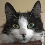 Profile Picture of Martin (@tuba a la mode) on Flickr
