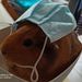 Profile Picture of Julia Blohm (@jblohm635) on Pinterest