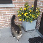 Profile Picture of Paul Heidi Claerhout Willaert (@claerhoutwillaert) on Instagram