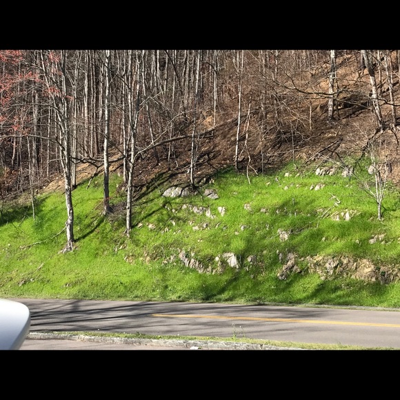 Profile Picture of Candice Bates (@slocbates) on Poshmark