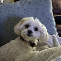 Profile Picture of David Trimmier (@david-trimmier-4) on Quora