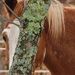 Profile Picture of Crystal DeRemer (@crystalsderemer) on Pinterest