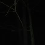 Profile Picture of Grzegorz Perzyński (@grzegorz.perzynski.3) on Facebook