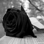 Profile Picture of Yolanda Alamos (@alamosyolanda) on Instagram