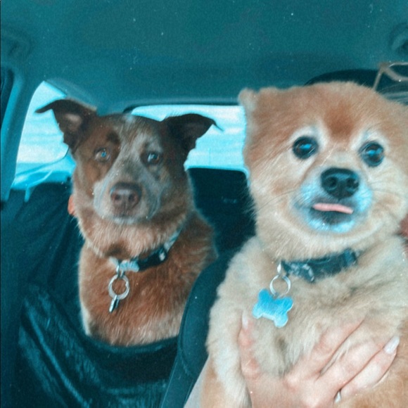 Profile Picture of Logan Bertholomey (@logan_b59) on Poshmark