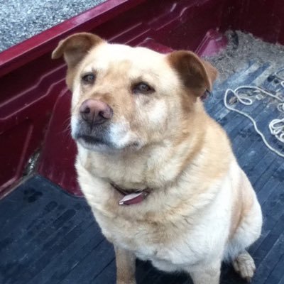 Profile Picture of Brendan Beatty (@PrayForZeus1) on Twitter