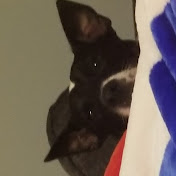 Profile Picture of Ayden Davis (@aydendavis8014) on Youtube