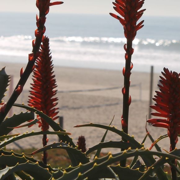 Profile Picture of Nadine Wright (@deanie50) on Poshmark