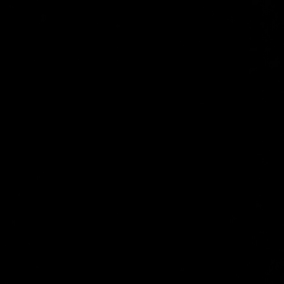 Profile Picture of Haley Hoffman (@hay_1216) on Poshmark