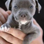 Profile Picture of Libby Mckinney (@libby_mckinney) on Instagram