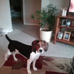 Profile Picture of Connie Clairmont (@connie.clairmont.399) on Facebook