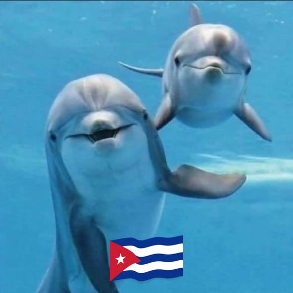 Profile Picture of Maricel Dorticos perez (@mariceldorticos) on Poshmark