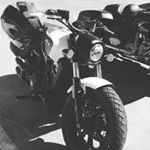 Profile Picture of b00ts and Bobber Ann (@the_bobberann) on Instagram