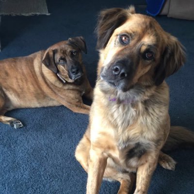 Matthew Burdess - Twitter Profile Picture of Matthew Burdess (@burdess_matthew) on Twitter