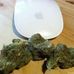 Profile Picture of Loris Hash (@loris.hash) on Facebook