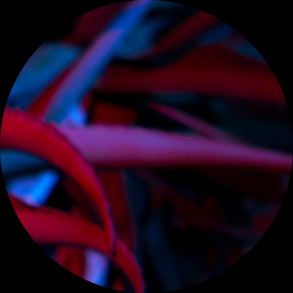 Profile Picture of Natalie Mazmanian (@n_mazmanian) on Poshmark