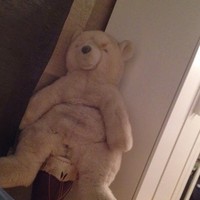 Profile Picture of Nathan Lenoir (@nathan-lenoir-1) on Quora